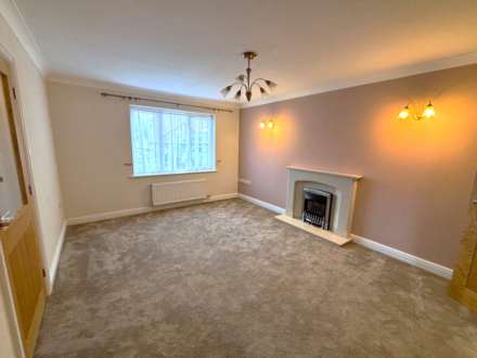 Maescrugiau, Rhydyfelin, Image 5