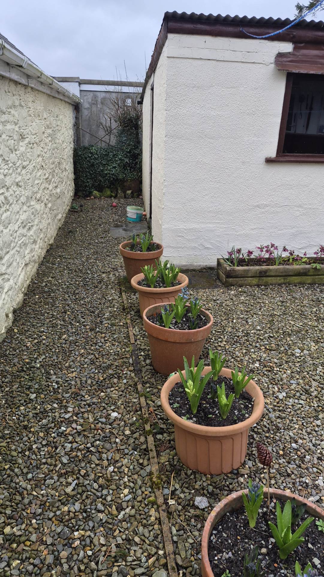 Ystrad Meurig, Image 25