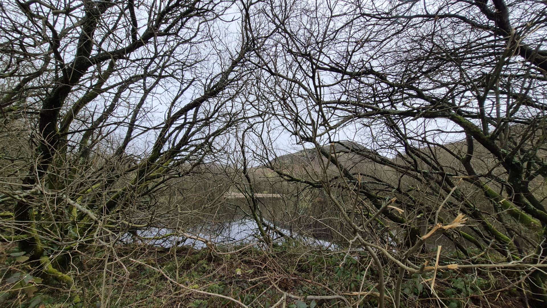 Ystrad Meurig, Image 26