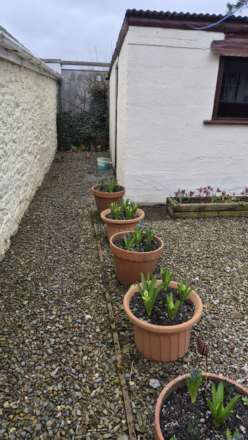 Ystrad Meurig, Image 25