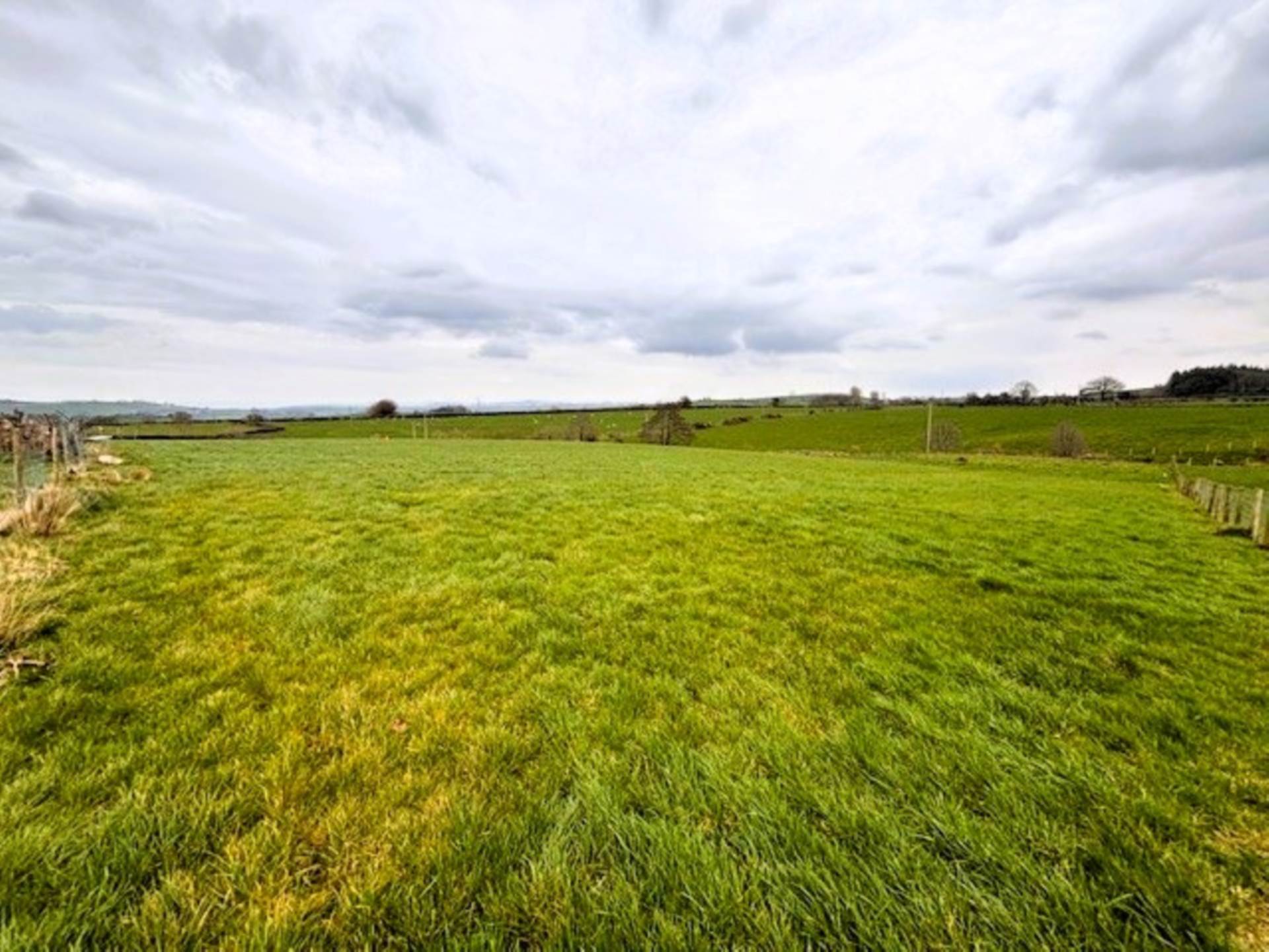 Rhosygarth, Llanilar, Image 19