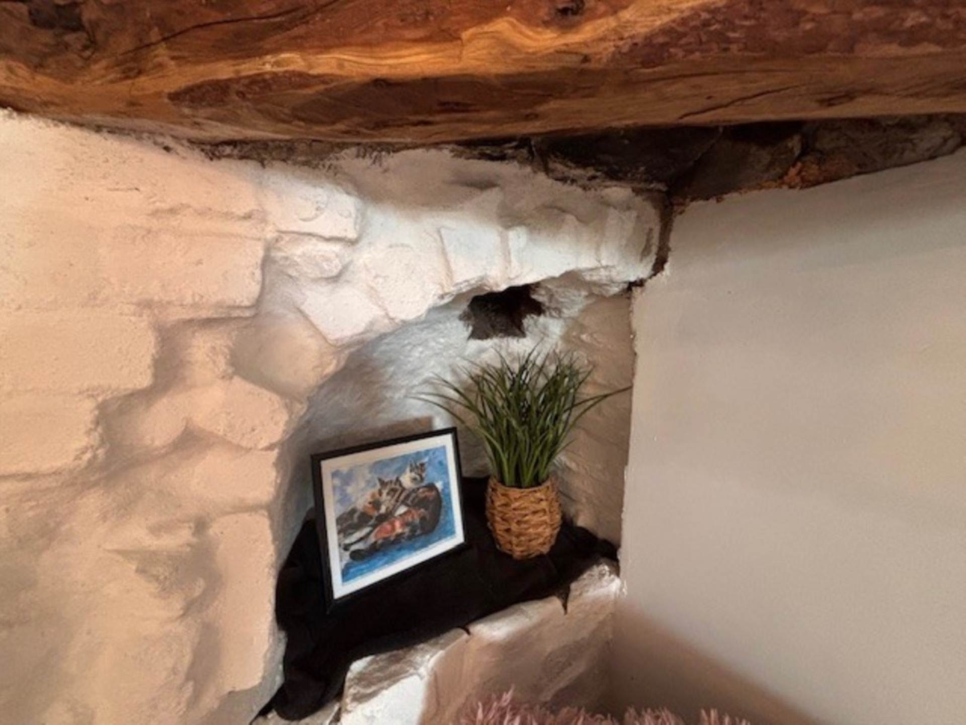 Rhosygarth, Llanilar, Image 9