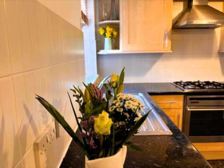 Maescrugiau, Aberystwyth, Image 3