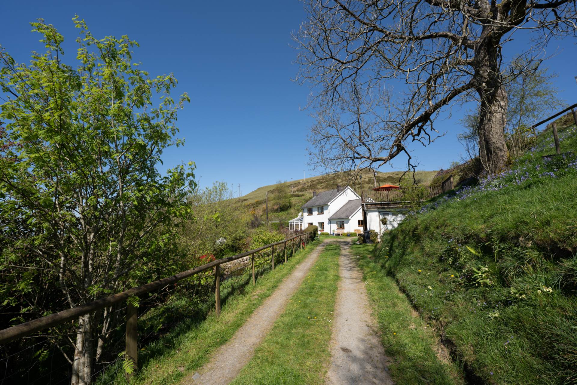 Goginan, Ystumtuen, Image 38