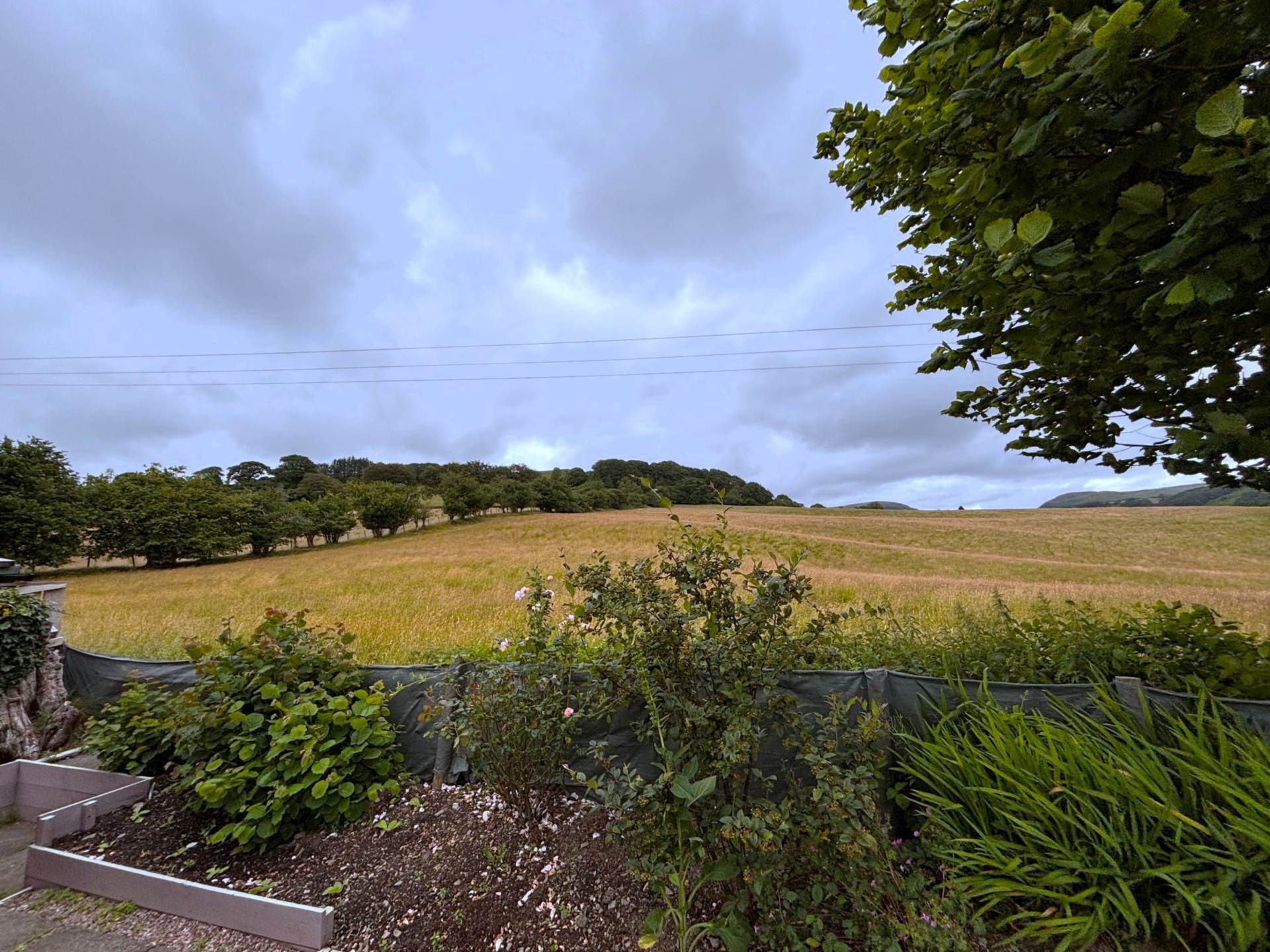 Pwllswyddog, Tregaron, Image 2