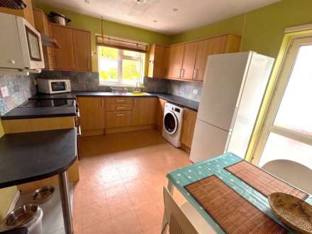 Pwllswyddog, Tregaron, Image 13