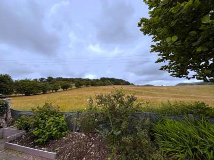 Pwllswyddog, Tregaron, Image 2