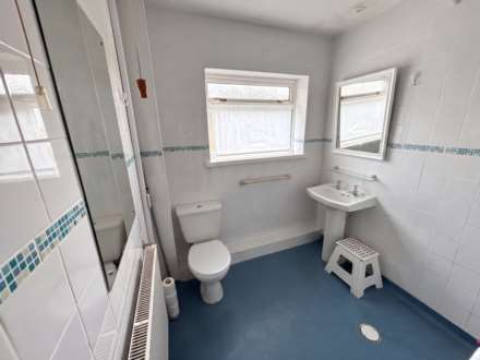 Pwllswyddog, Tregaron, Image 8