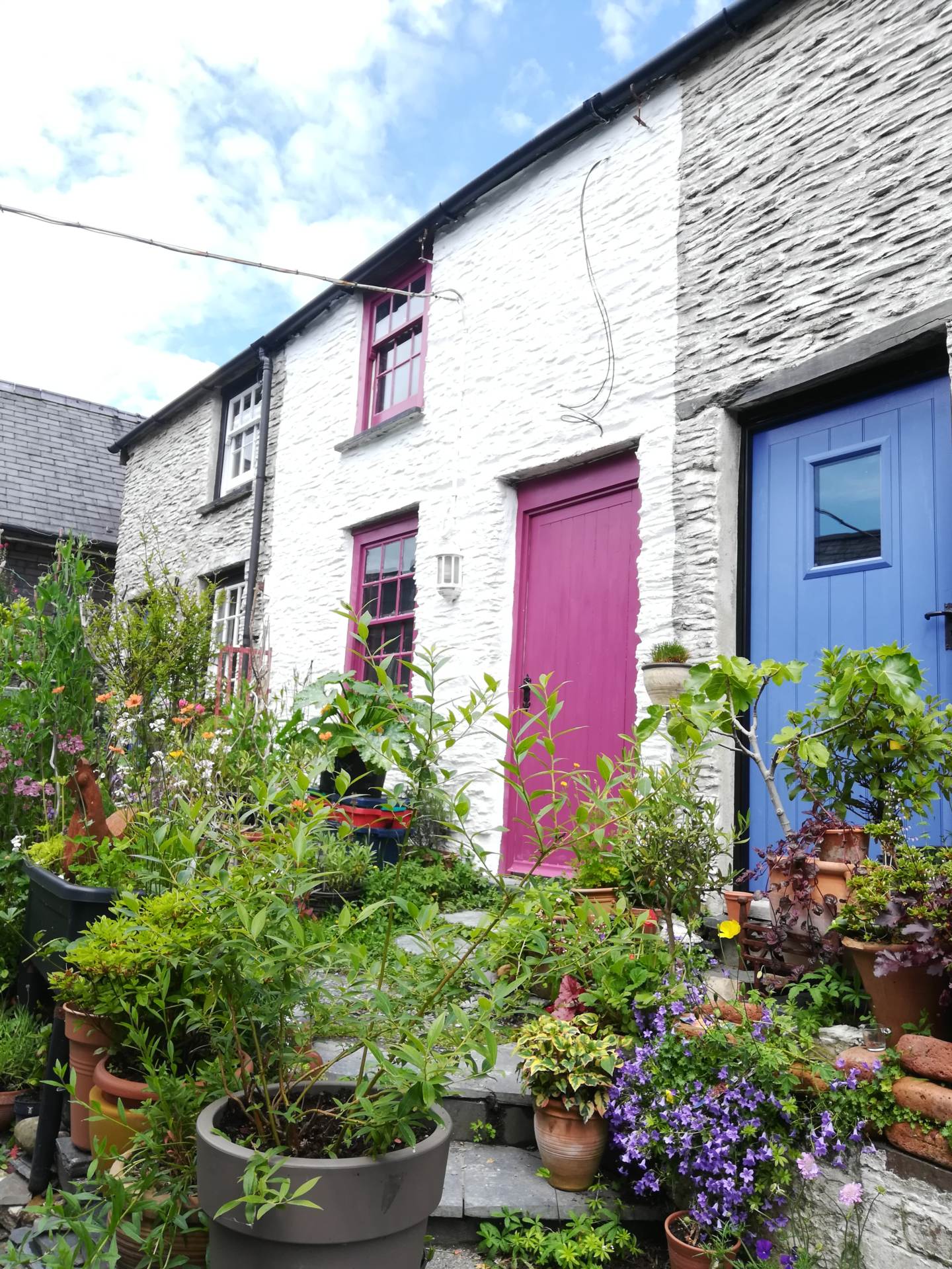 Heol Y Doll, Machynlleth, Image 12