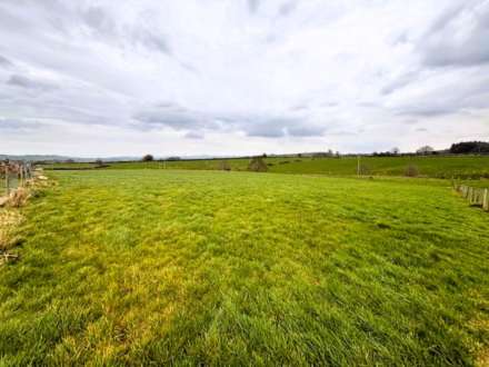 Rhosygarth, Llanilar, Image 19