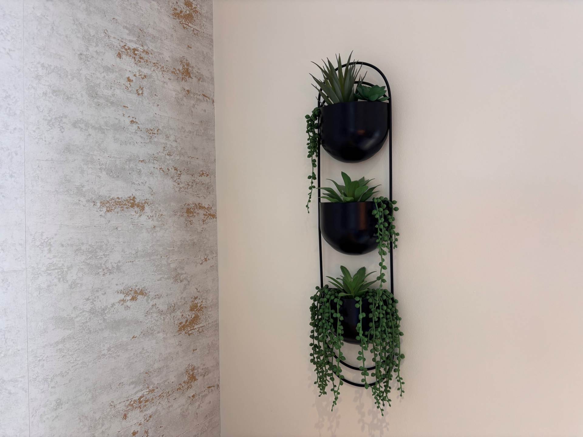 Clos Carrog, Llanrhystud, Image 12