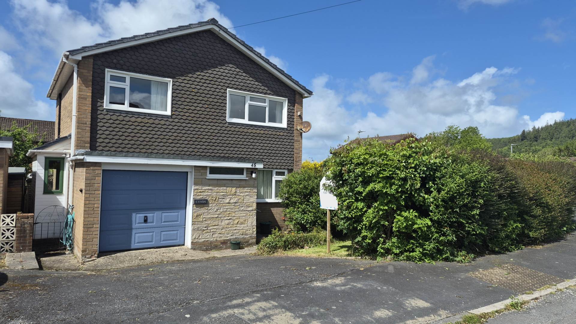 Cwm Aur, Llanilar, Image 12