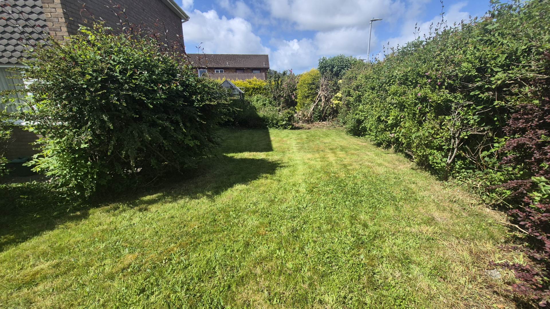 Cwm Aur, Llanilar, Image 18