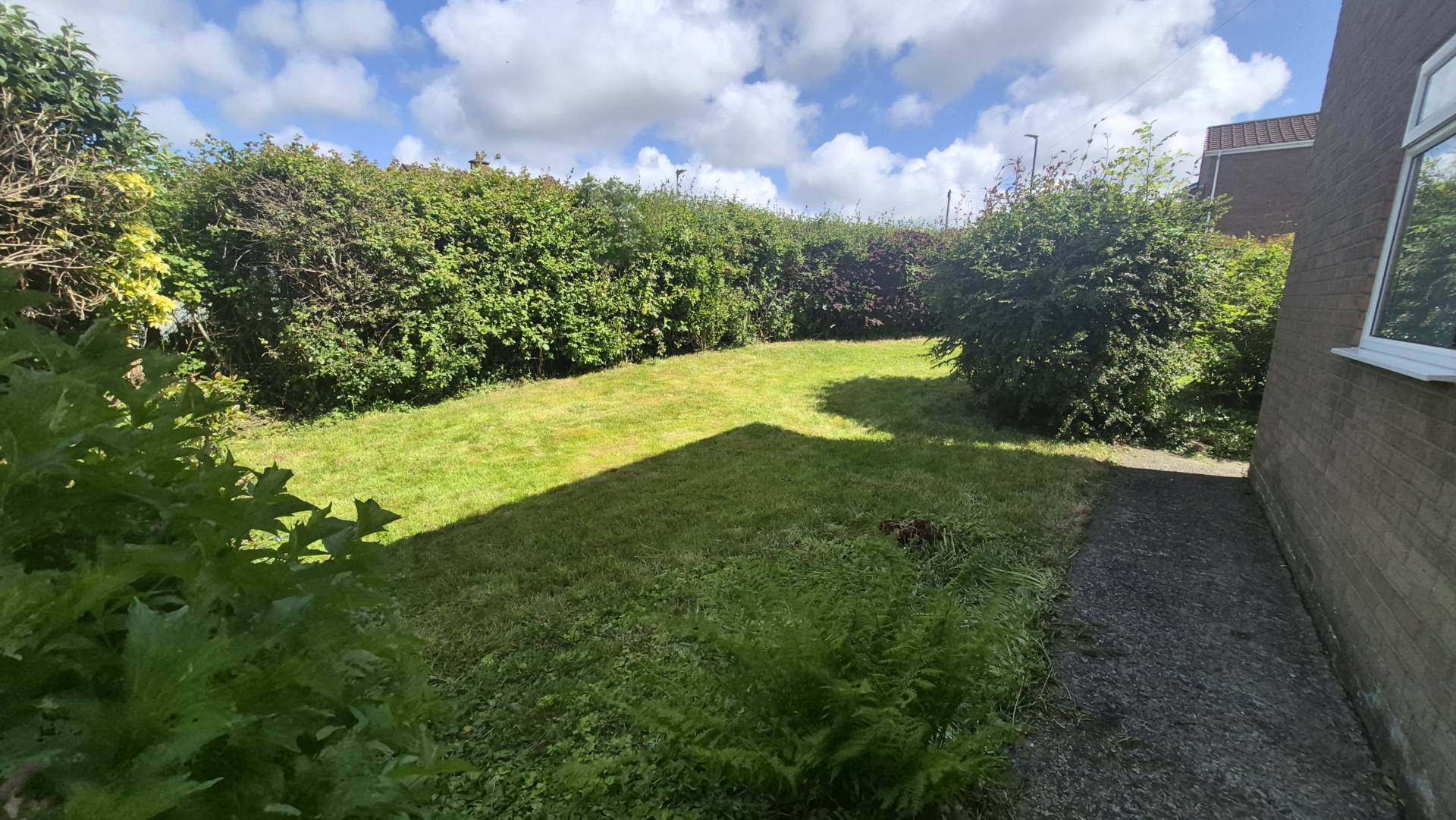 Cwm Aur, Llanilar, Image 19