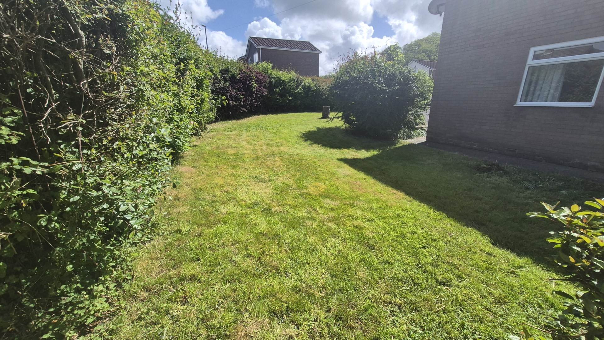 Cwm Aur, Llanilar, Image 3