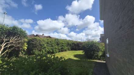 Cwm Aur, Llanilar, Image 17
