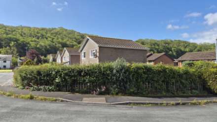 Cwm Aur, Llanilar, Image 2