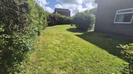 Cwm Aur, Llanilar, Image 3