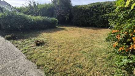 Cwm Aur, Llanilar, Image 31