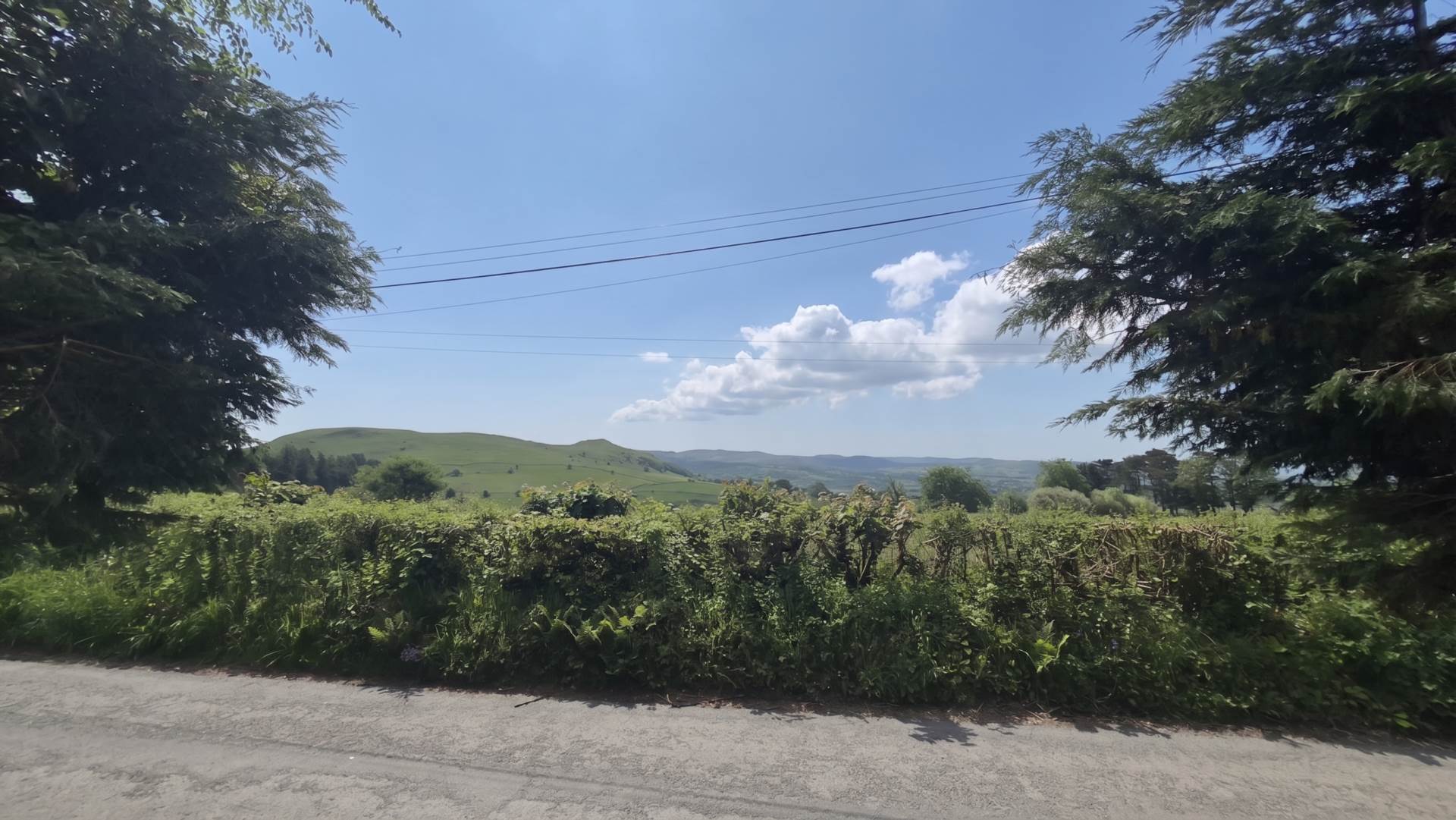 Ffair Rhos, Image 16