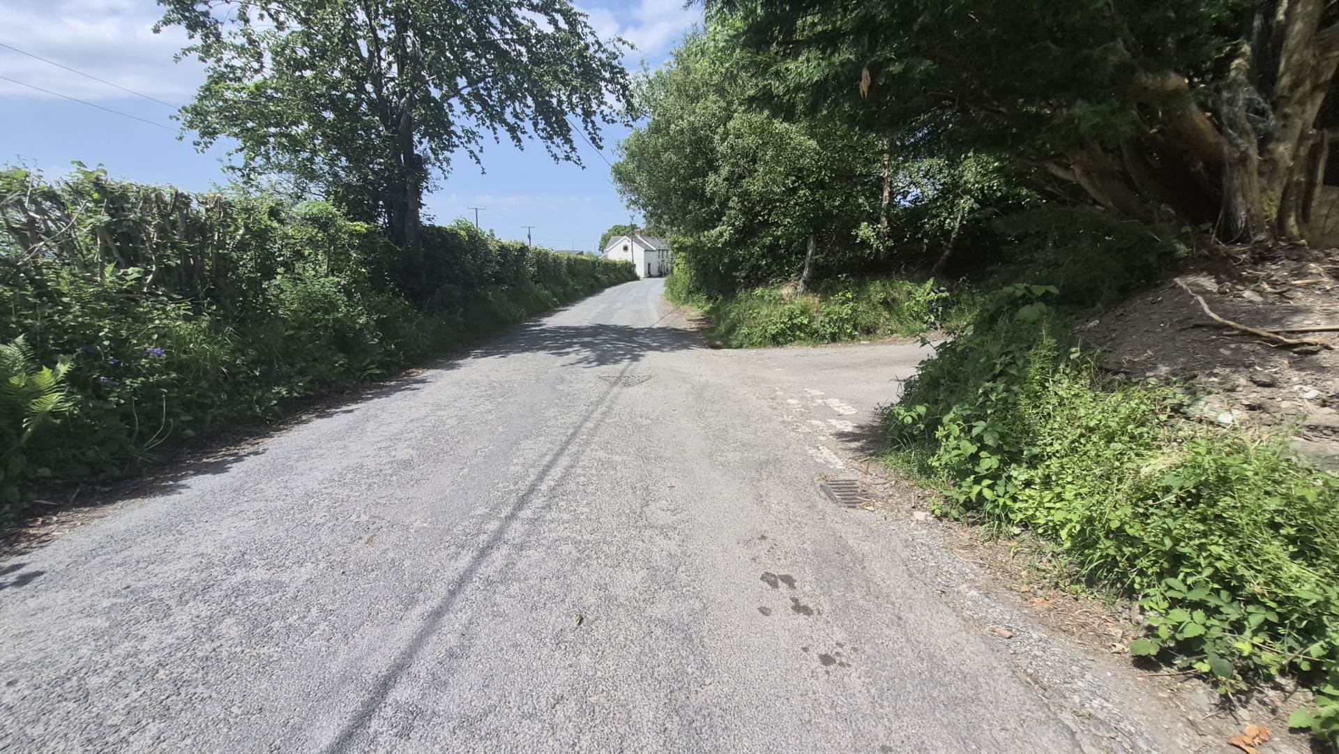 Ffair Rhos, Image 17