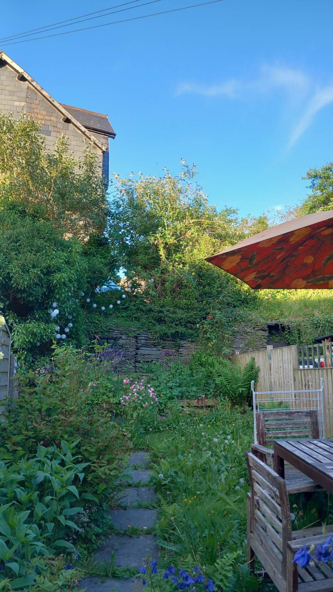 Brickfield Street, Machynlleth, Image 15