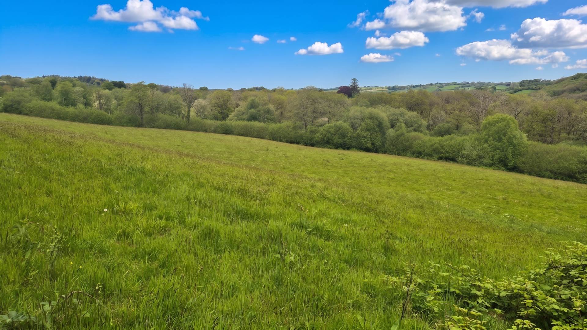 Land At Brynglas, Llangeitho, Image 1
