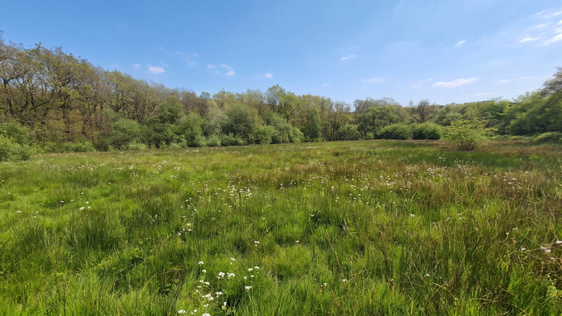 Land At Brynglas, Llangeitho, Image 2