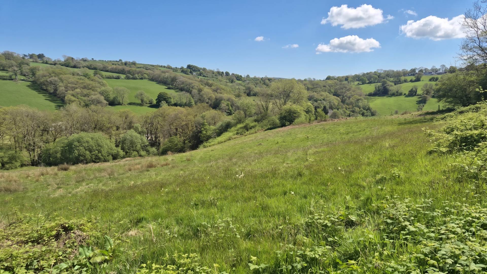 Land At Brynglas, Llangeitho, Image 3