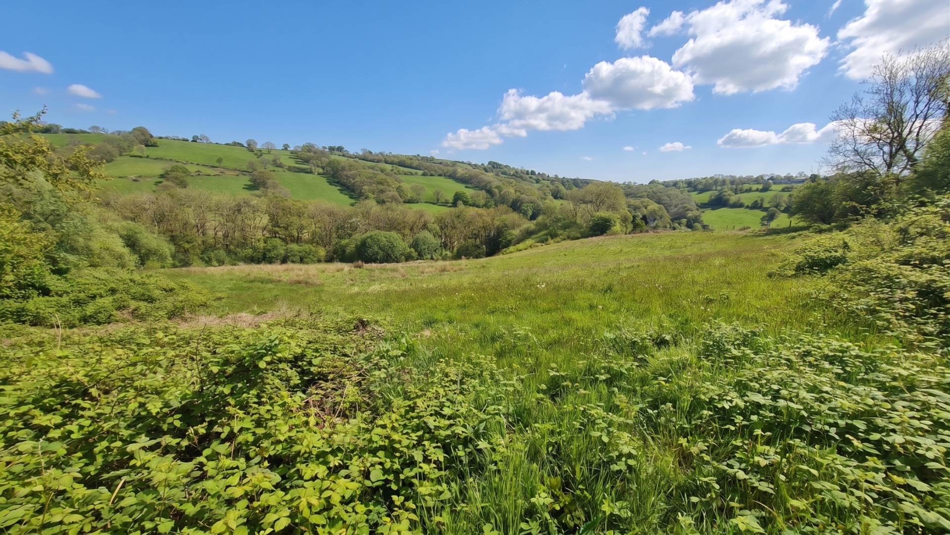 Land At Brynglas, Llangeitho, Image 4