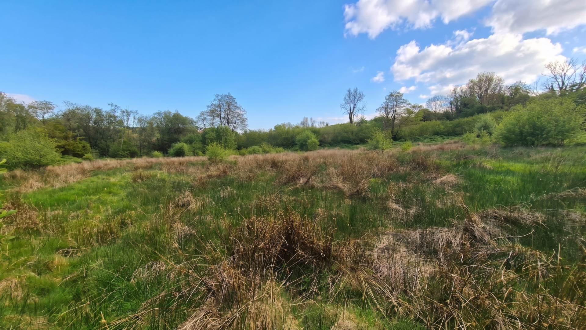 Land At Brynglas, Llangeitho, Image 5