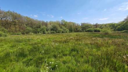 Land At Brynglas, Llangeitho, Image 2