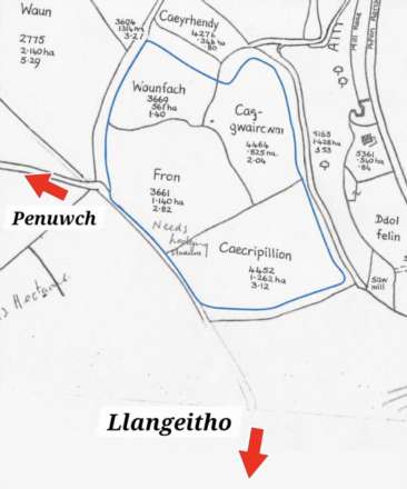 Land At Brynglas, Llangeitho, Image 8