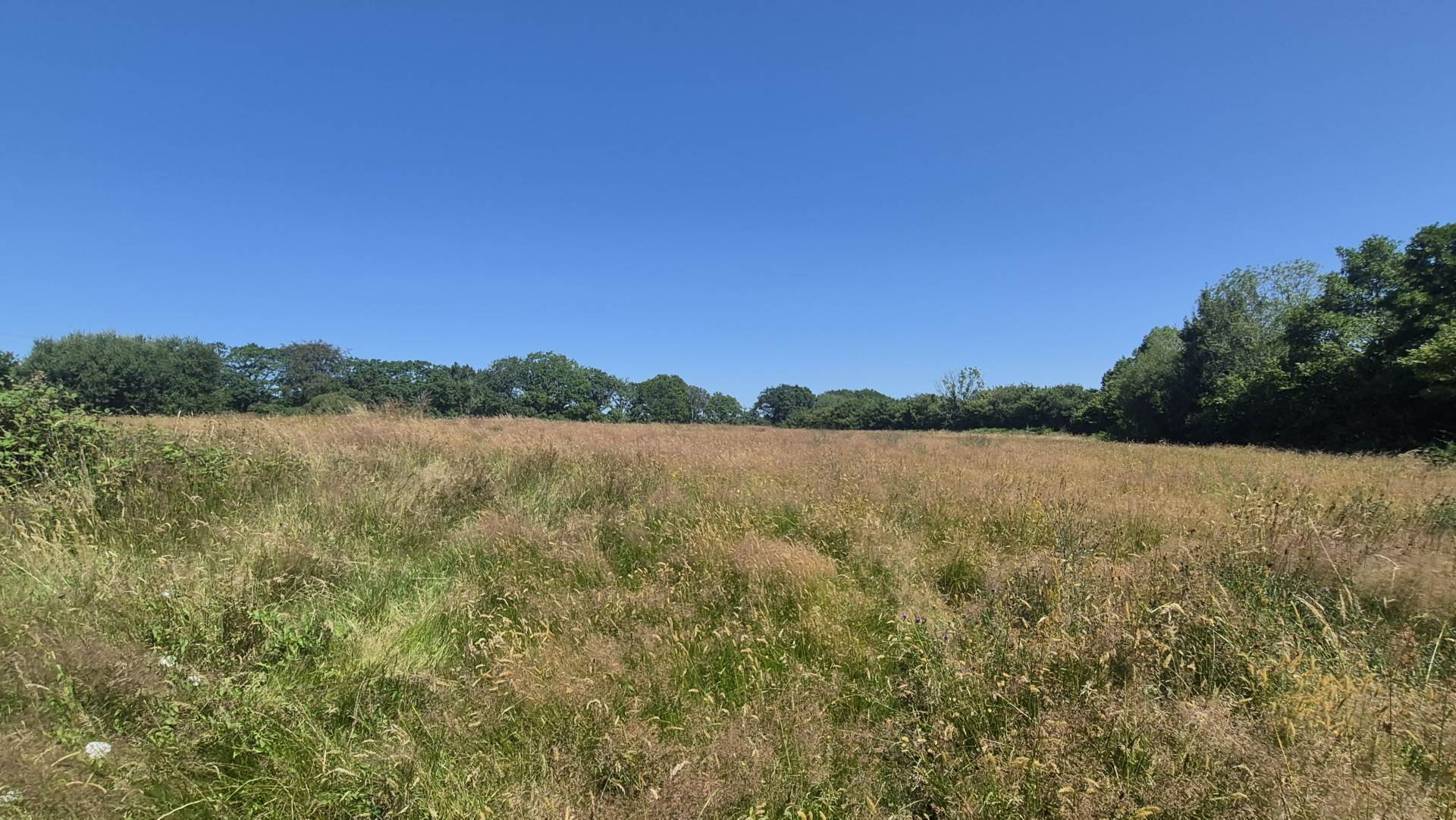Llangeitho, Tregaron, Image 2