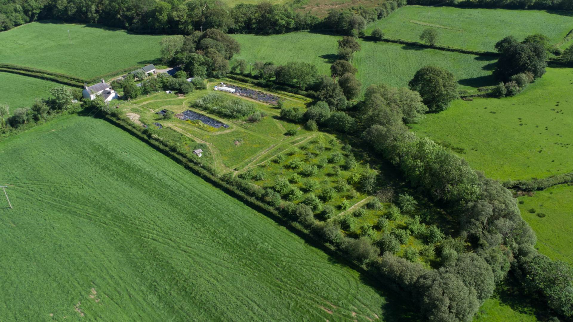 Llangeitho, Image 24