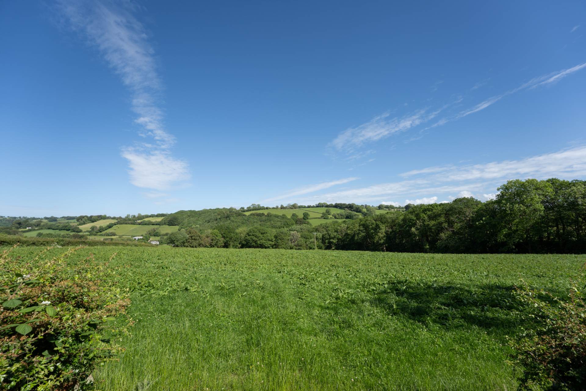 Llangeitho, Image 26