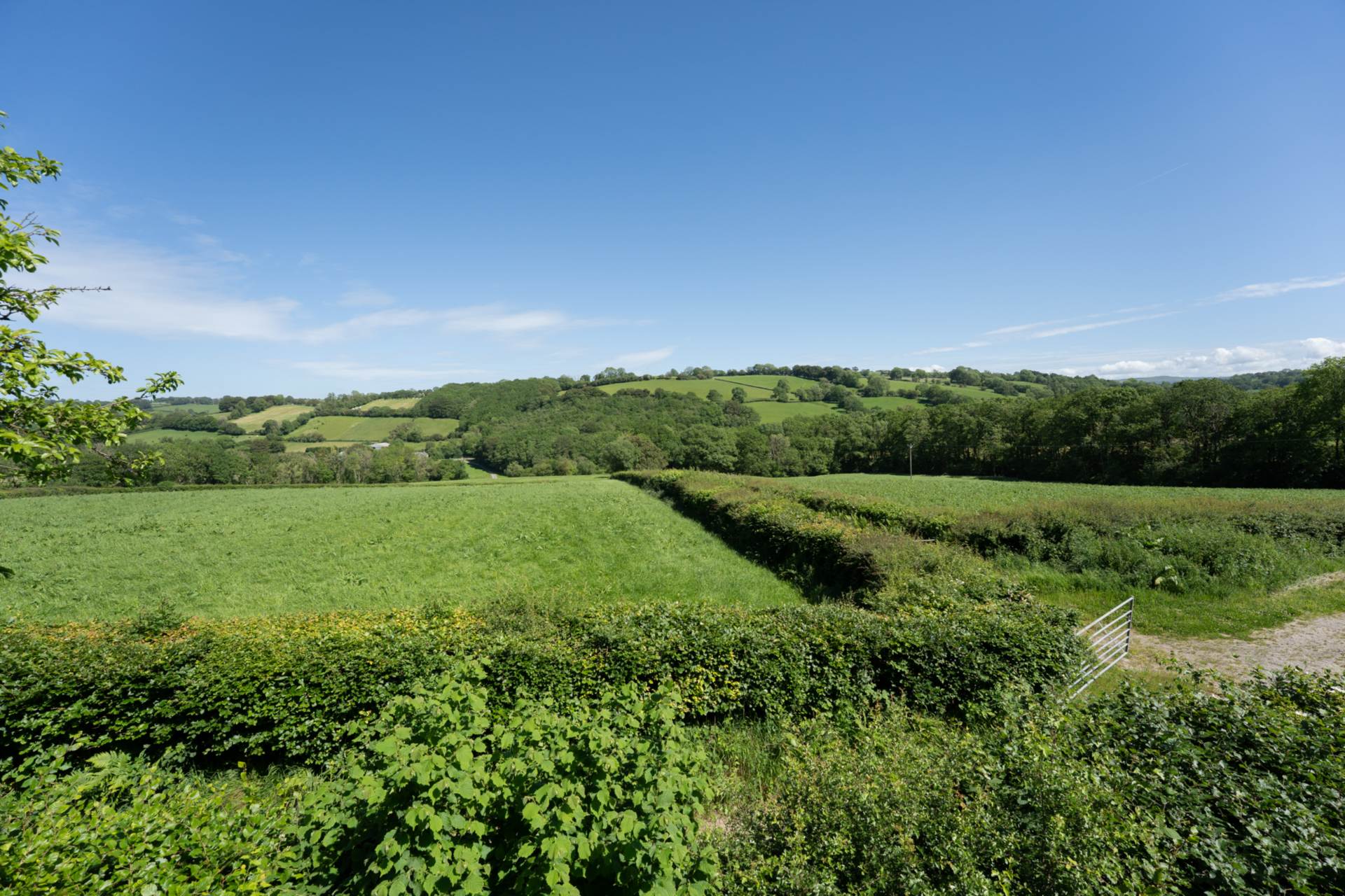 Llangeitho, Image 27