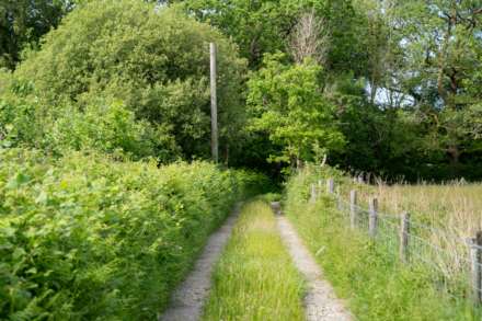 Llangeitho, Image 28