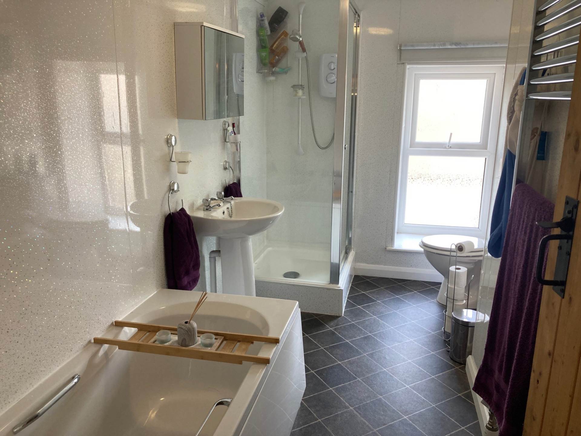 Tregaron, Image 15