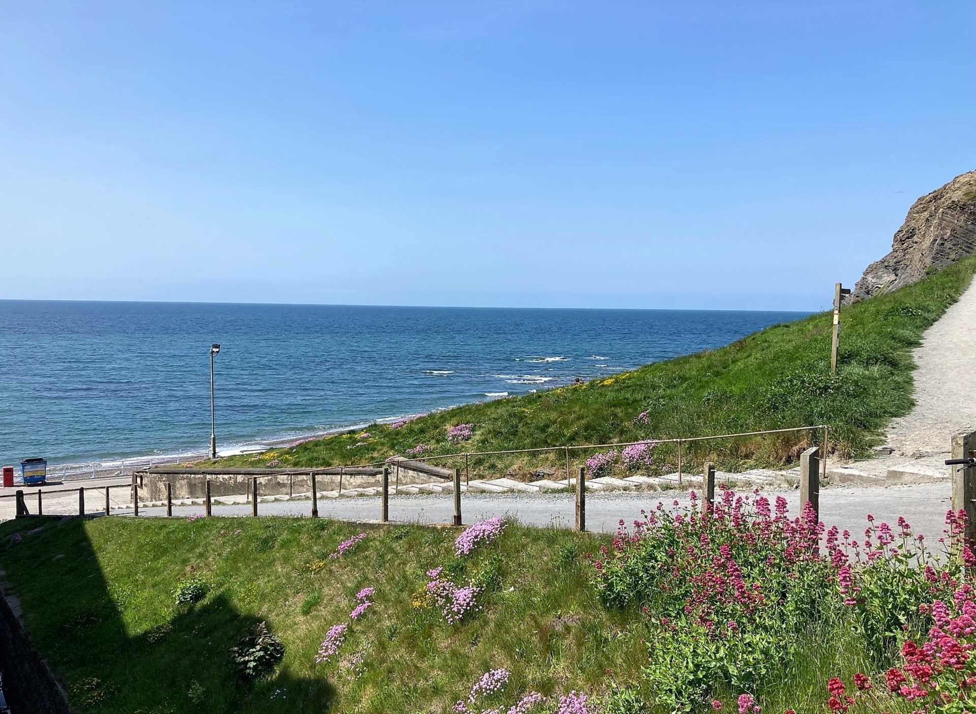 Brynymor Terrace, Aberystwyth, Image 12
