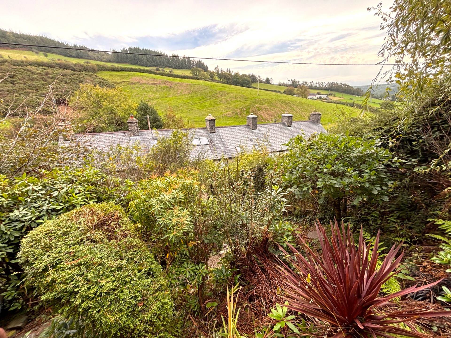 Garreglwyd, Llanafan, Image 20