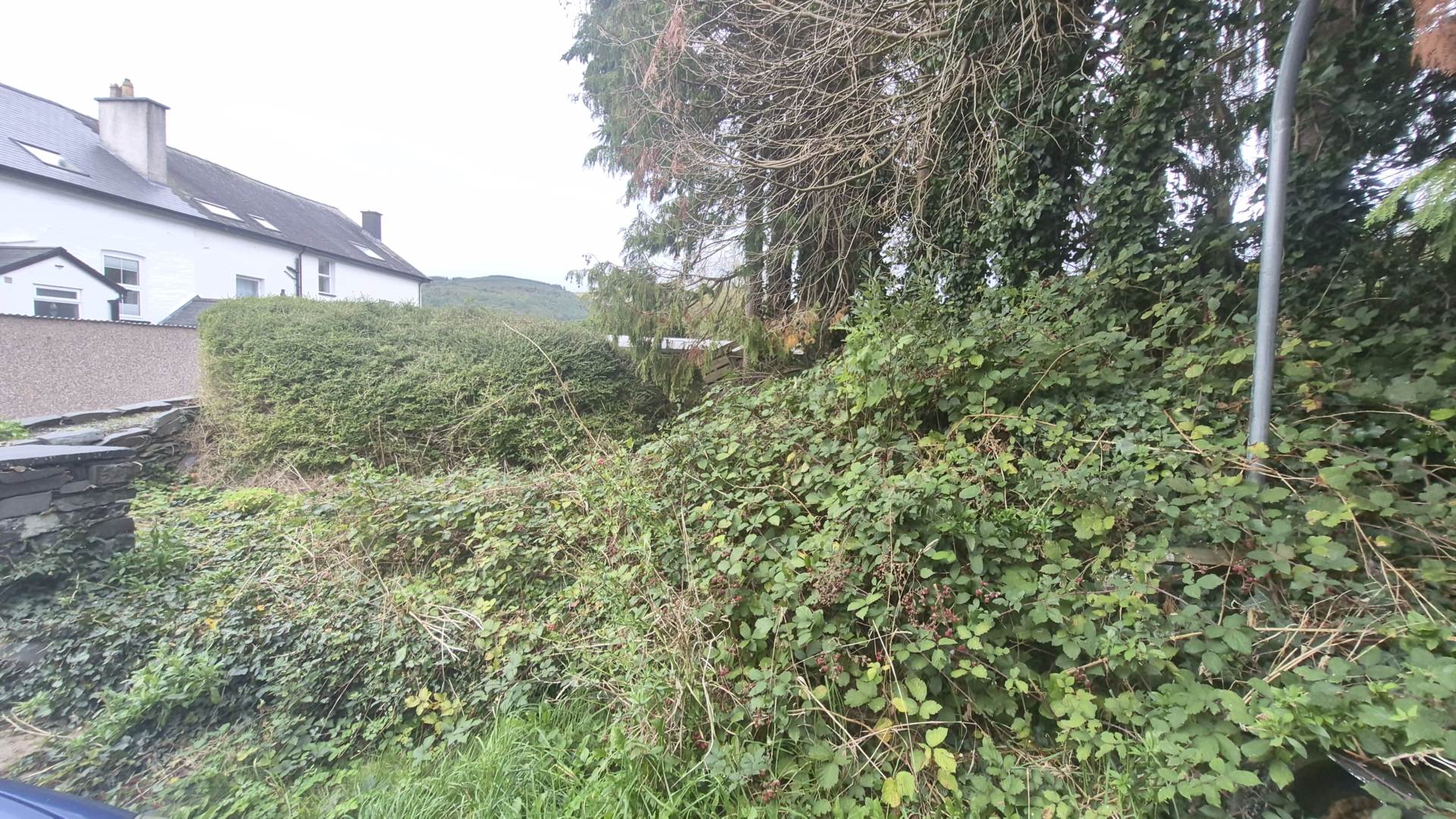 Heol Y Doll, Machynlleth, Image 28