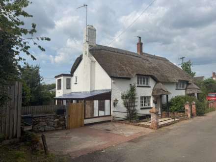 The Avenue, Exton