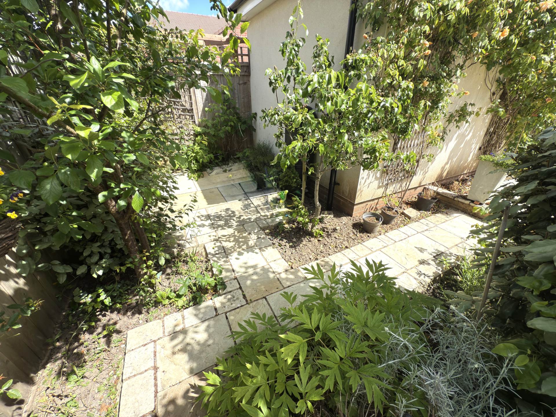 Sion Close, Off Ottery Moor Lane, Honiton, Image 15