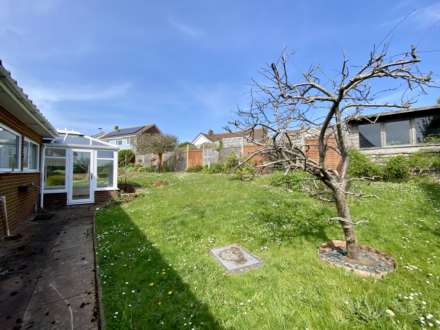 Foxholes Hill, Exmouth, Image 21