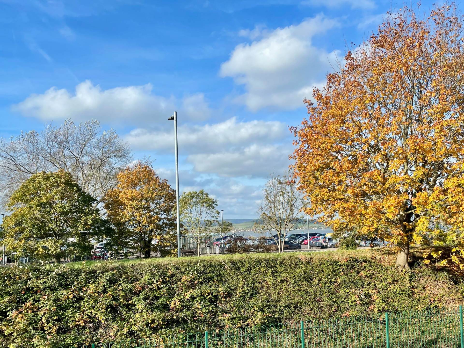 Halsdon Road, Exmouth, Image 11