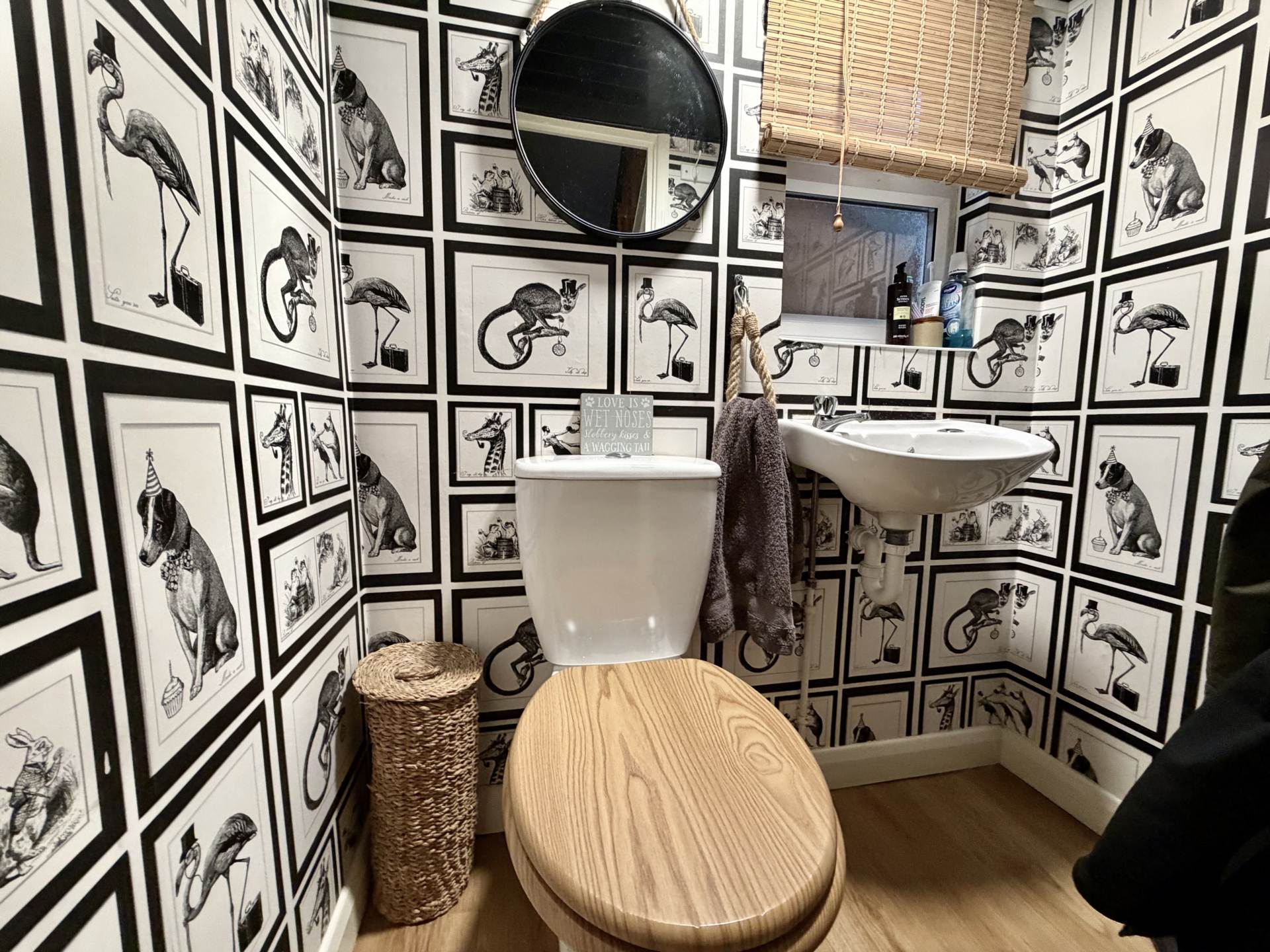 New Street, Exmouth, Image 5