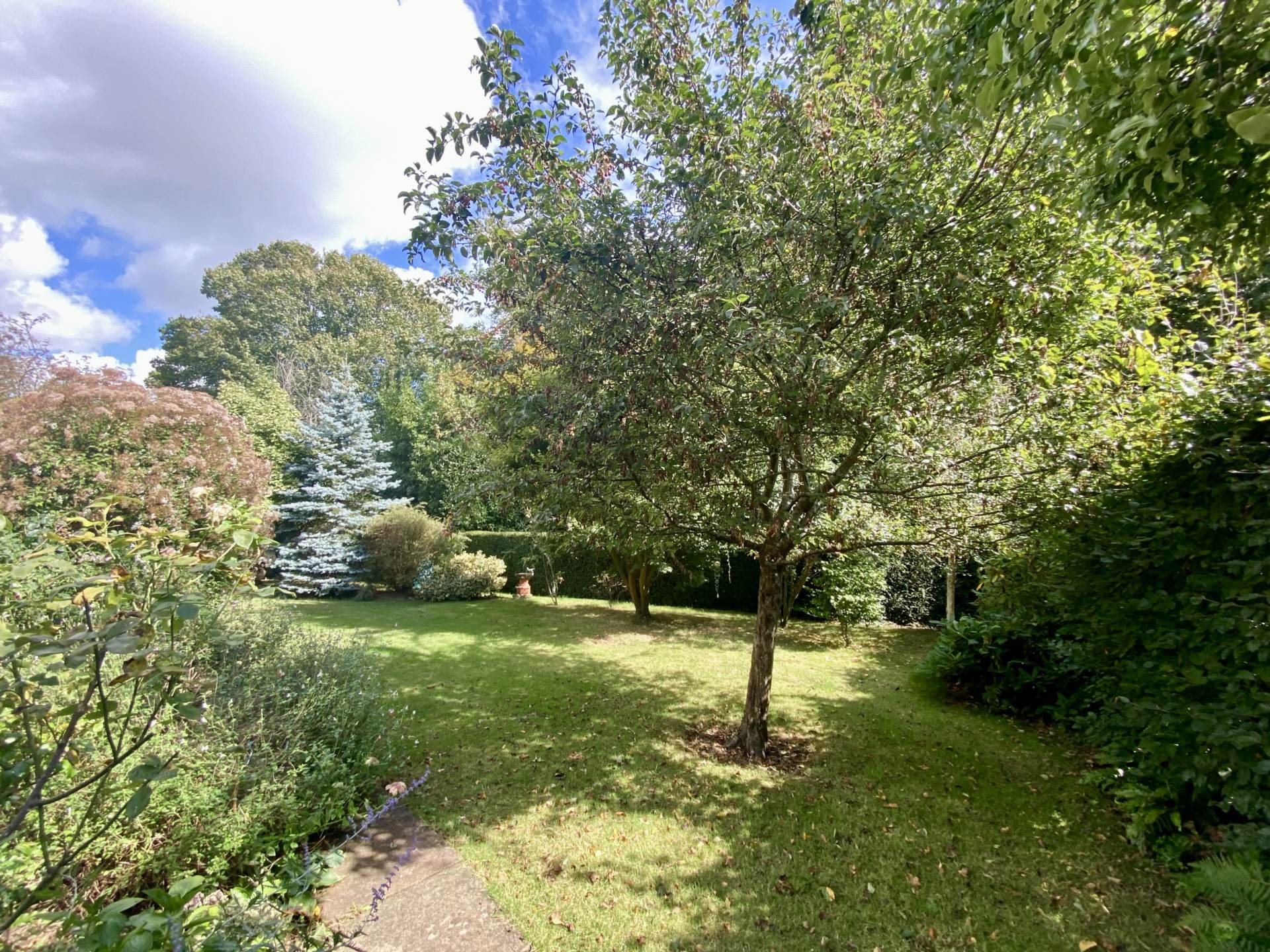 Maer Vale, Exmouth, Image 12
