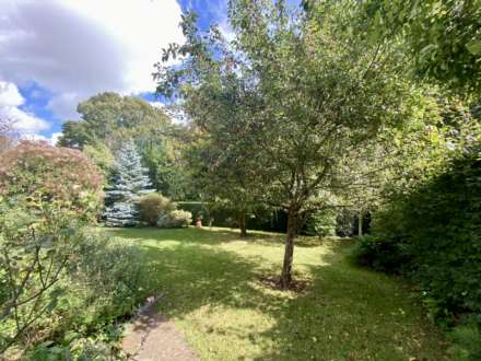 Maer Vale, Exmouth, Image 12