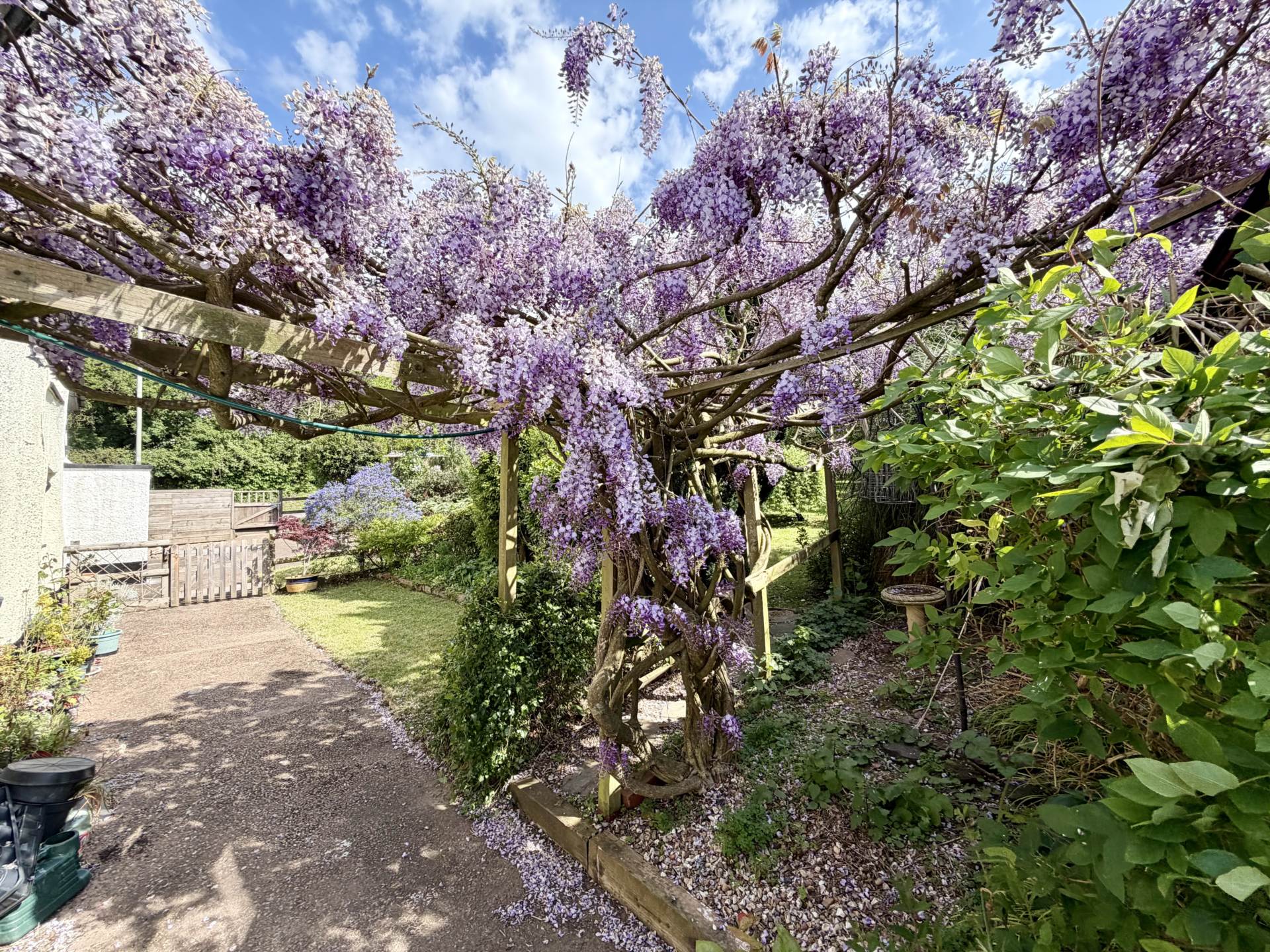 Exmouth Road, Lympstone, Image 15
